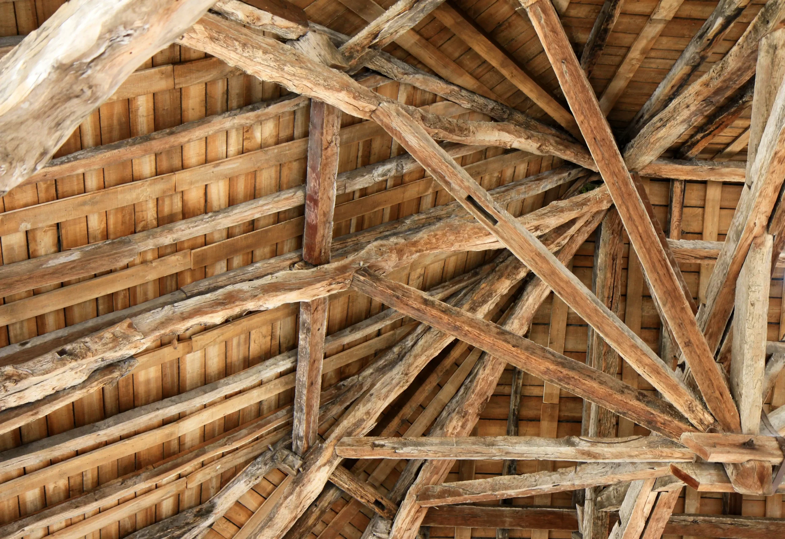 AdobeStock_32941651